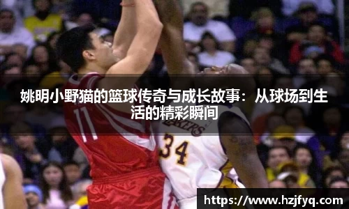 姚明小野猫的篮球传奇与成长故事：从球场到生活的精彩瞬间