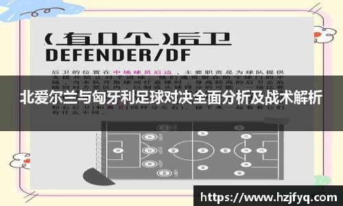 北爱尔兰与匈牙利足球对决全面分析及战术解析